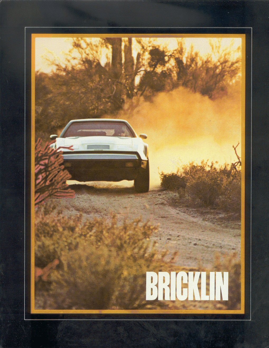1975 Bricklin Auto Advertising